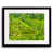 Black Framed Paper selected