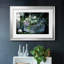 Tulipes sauvages-552863871-552863864