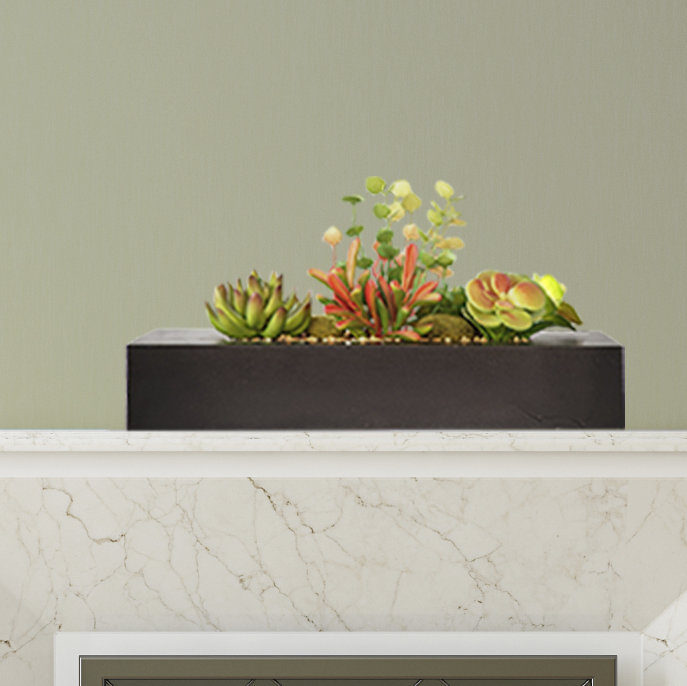 Herbes en pot pour bureau