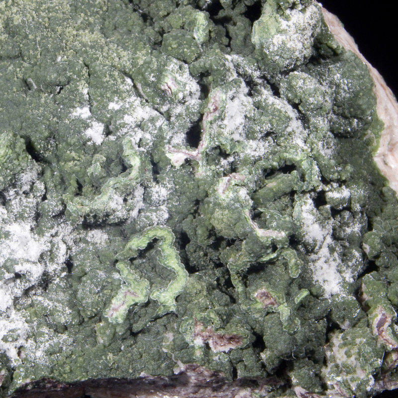 Cristal Lealon