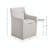 Raanan Polyester Upholstered Back Armchair Dining Chair