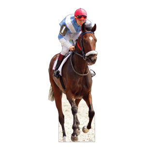 Cheval et jockey