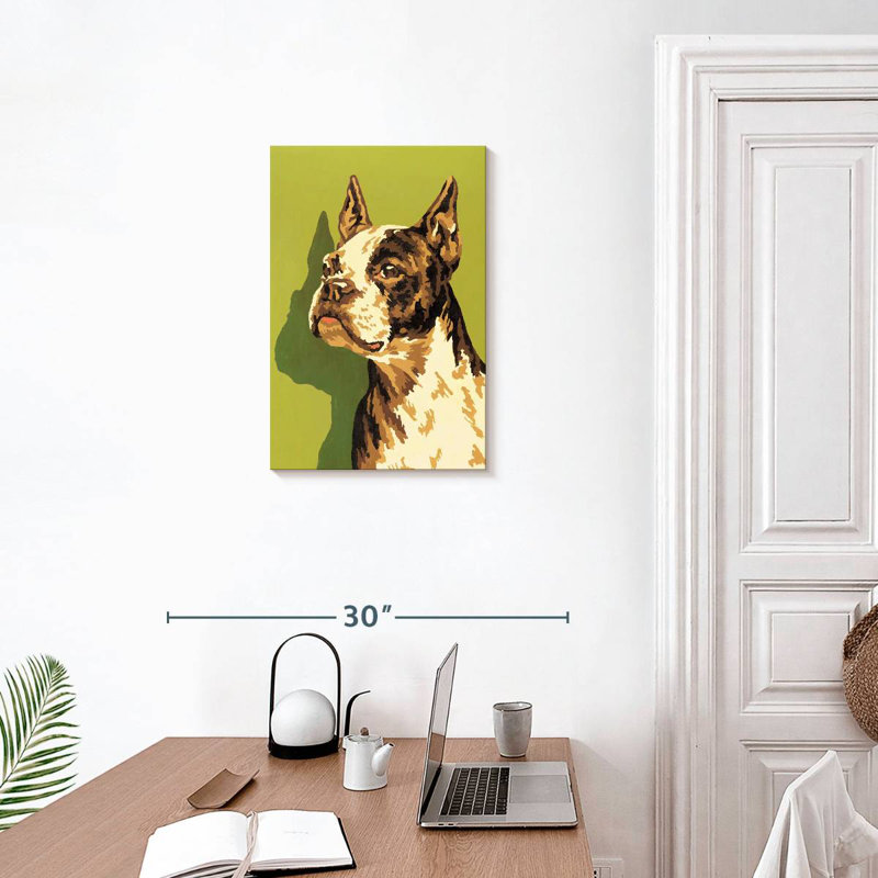 Boston-terrier, H 24 po x l 16 po