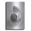 "Nautilus 4" par Debra Van Swearingen