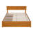 Lamecia Platform Bed with Panel Footboard and Storage Drawers-1845808043-1845808016