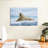 Polar Bear Wakes Up-1121300055
