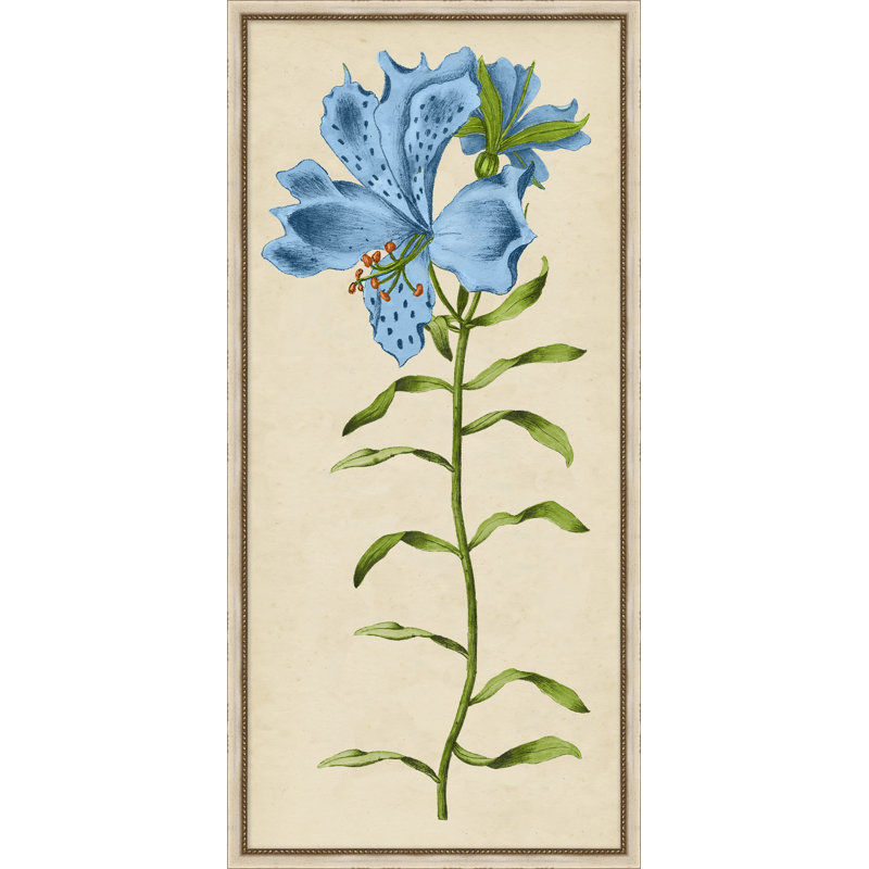 Vintage Floral Etching 5 Print