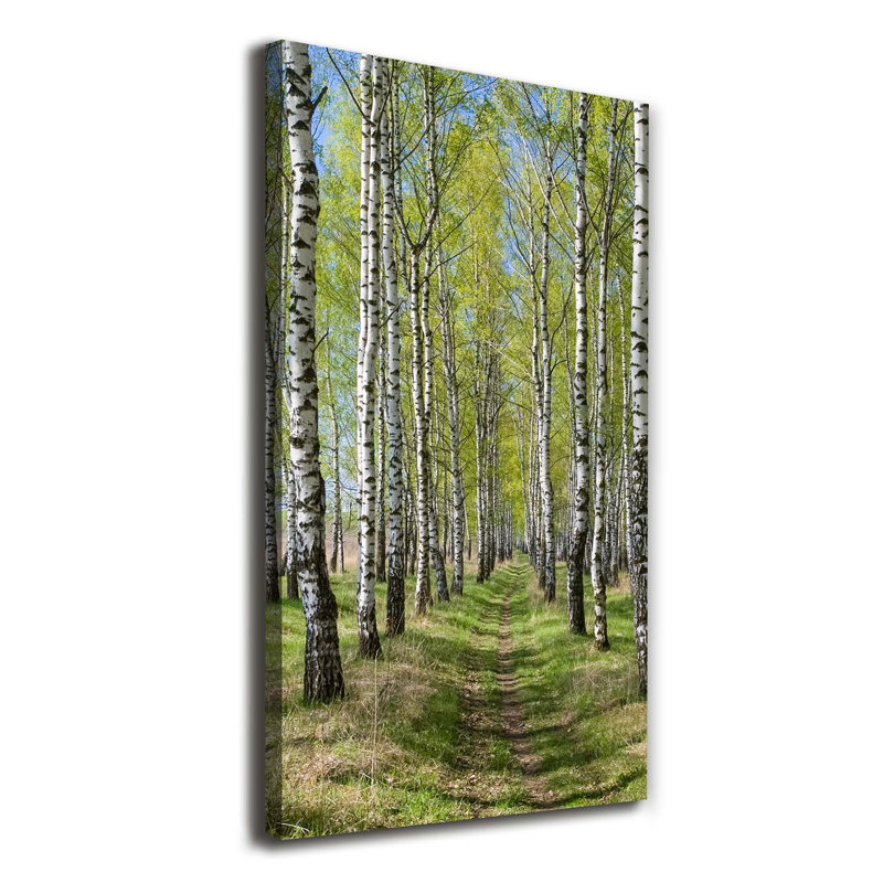 Birch Forest - Wrapped Canvas Print