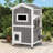 Insulated Outdoor Cat House, Weatherproof 2-Story Feral Shelter with Escape Doors, Grey