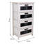Haislynn 4 Drawer Storage Drawer