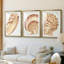 «Vintage Shell Vignette I», impression encadrée sur mesure de qualité supérieure mate - 3 pièces-2126711603-2126711606