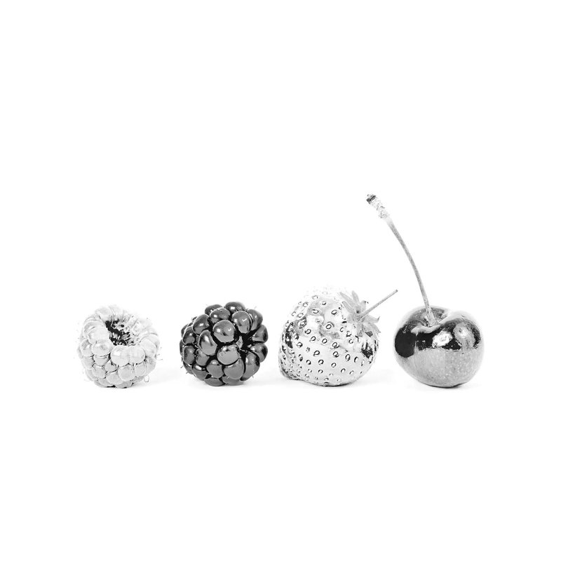 Silver Fruits by Kiki C Landon - Print on Canvas, Wrapped Canvas, 45.72cm H x 66.04cm W x 1.91cm D