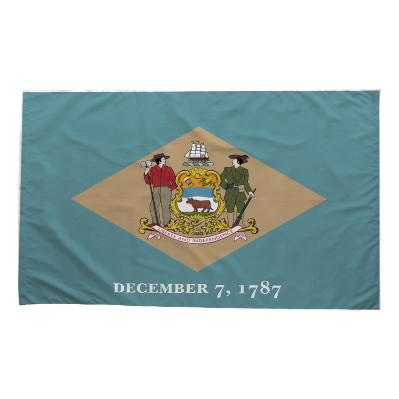 Drapeau de l'État du Delaware - Drapeau extérieur, 24" H x 36" W