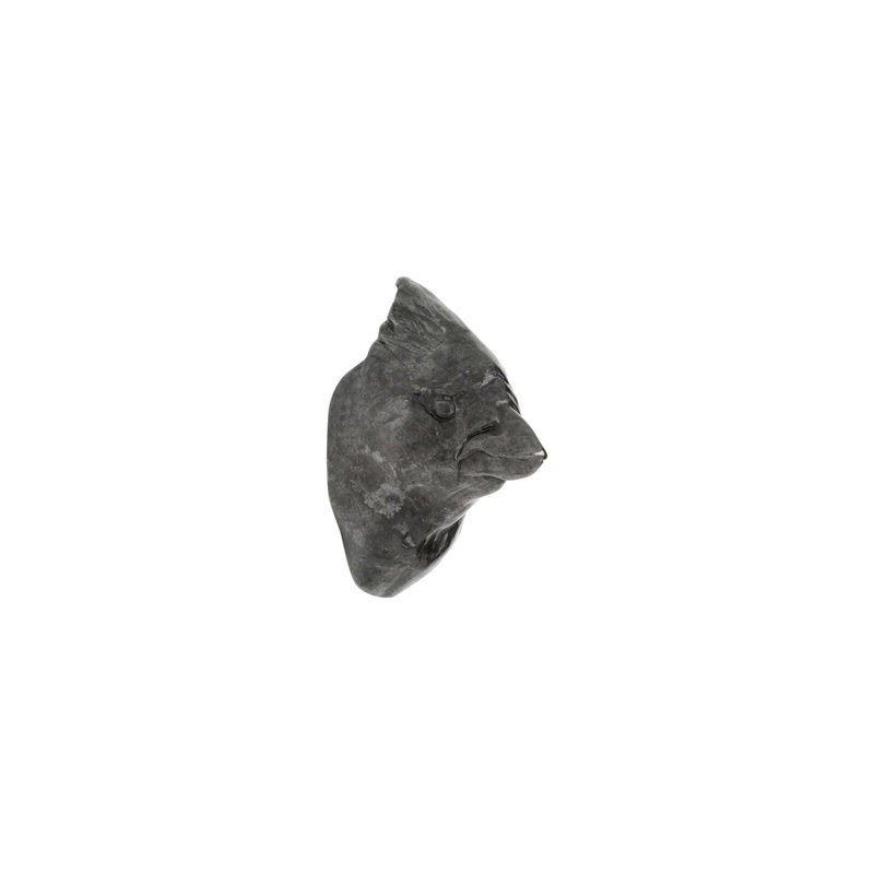 Bird Bronze Novelty Knob, White Bronze Dark