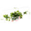 Artificial Plant
