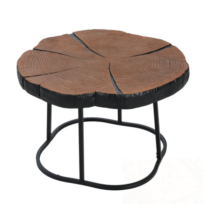 Miguell with Sturdy Metal Framework
