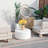 Shenia 3-Piece Outdoor Upholstered Coversation Set