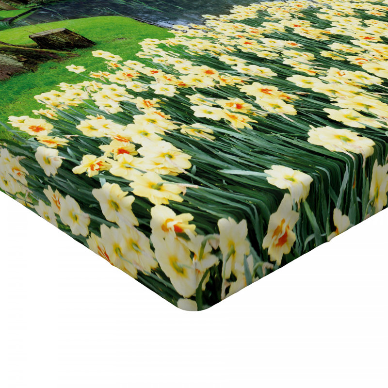 Microfiber Fitted Sheet, Twin XL Fitted Sheet