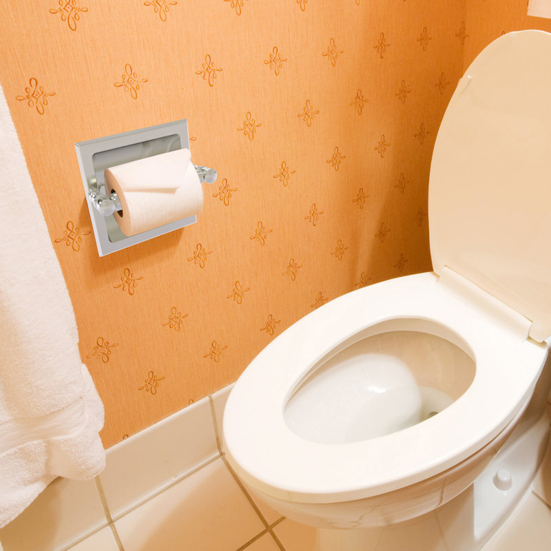 Freyja Recessed Toilet Paper Holder, Satin Nickel