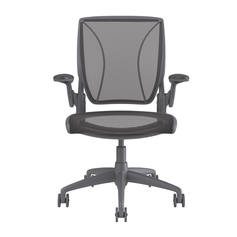 World Task Chair, Gray, Black, Adjustable