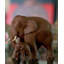 Father and Son Teak Figurine