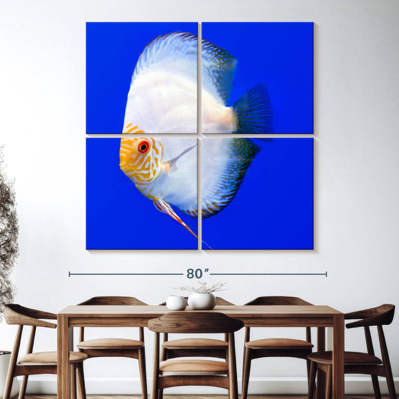 Brampt Pompadour Discus Fish, 74" H x 74" W