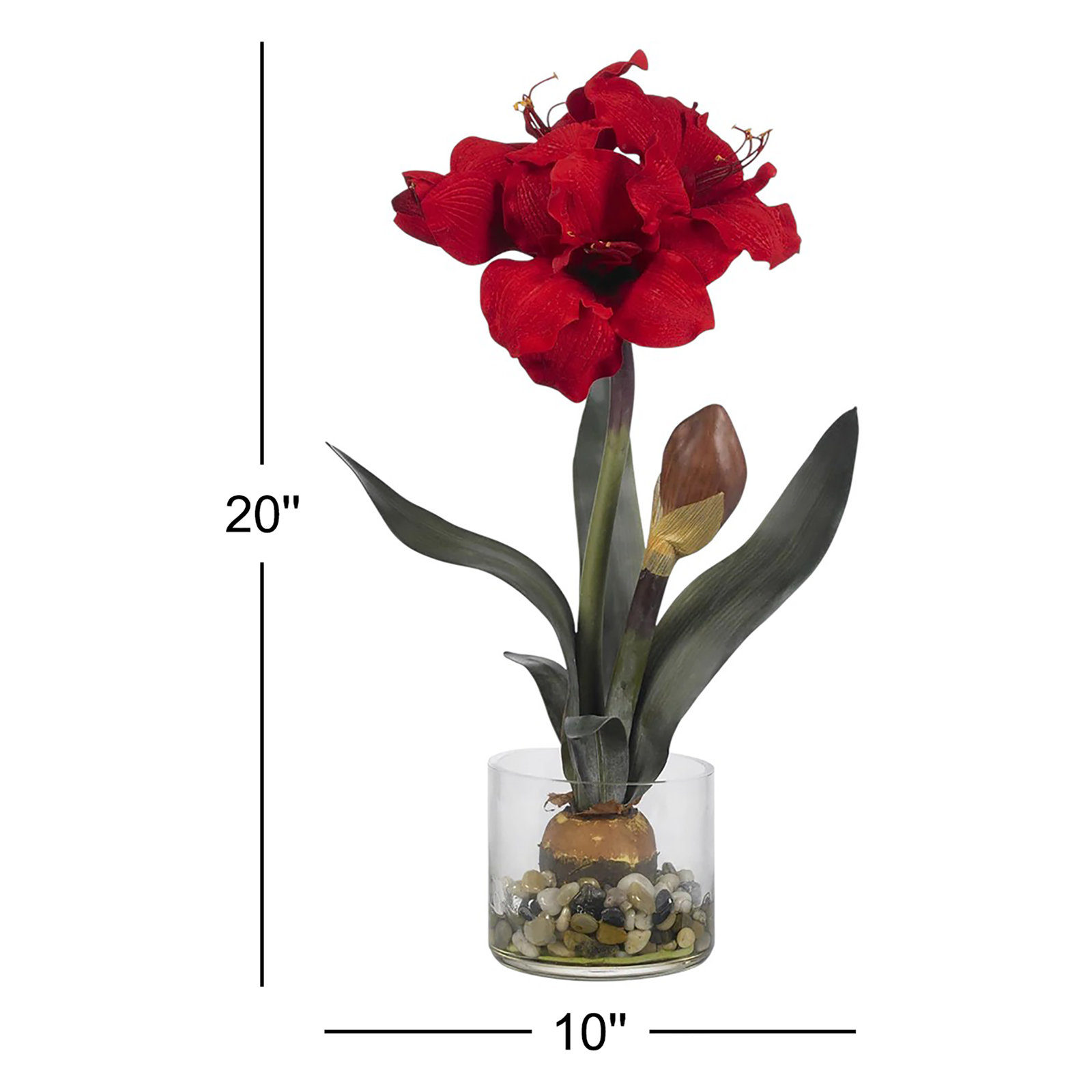 Amaryllis Floral Arrangement