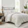 Orly Tufted Woven Medallion Comforter Set