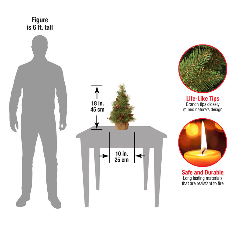 Floor Cedar Tree