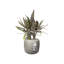 Pure Beads Pot Planter-48811439-48811441