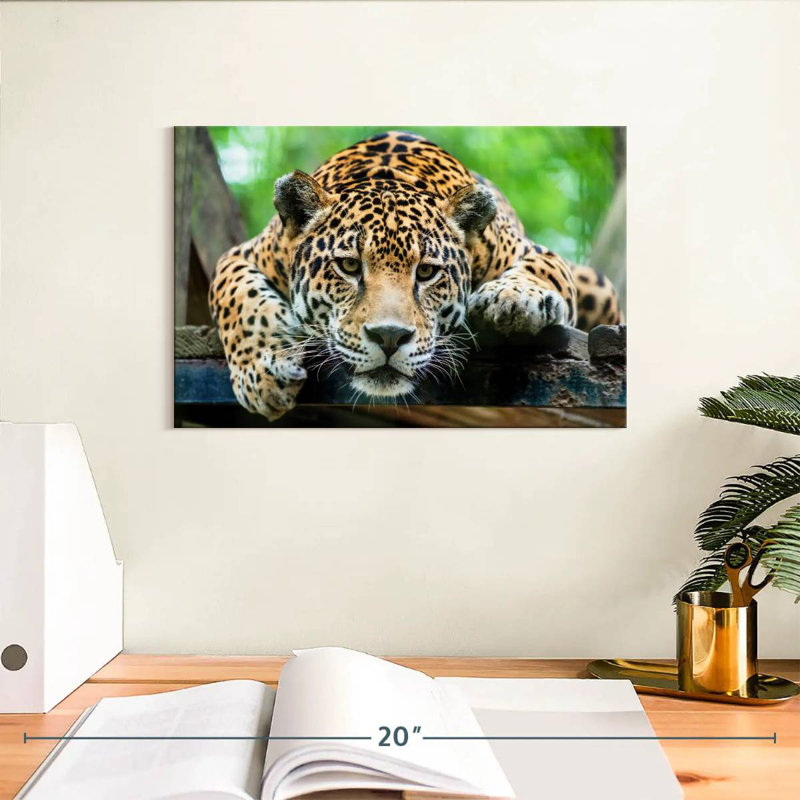 Crowle Lazy Leopard, 8" H x 12" W