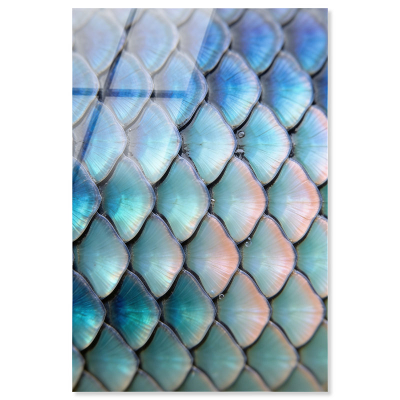 Mermaid Zoom Acrylic Painting Print, 15"H x 10"W, High-Gloss Acrylic Print
