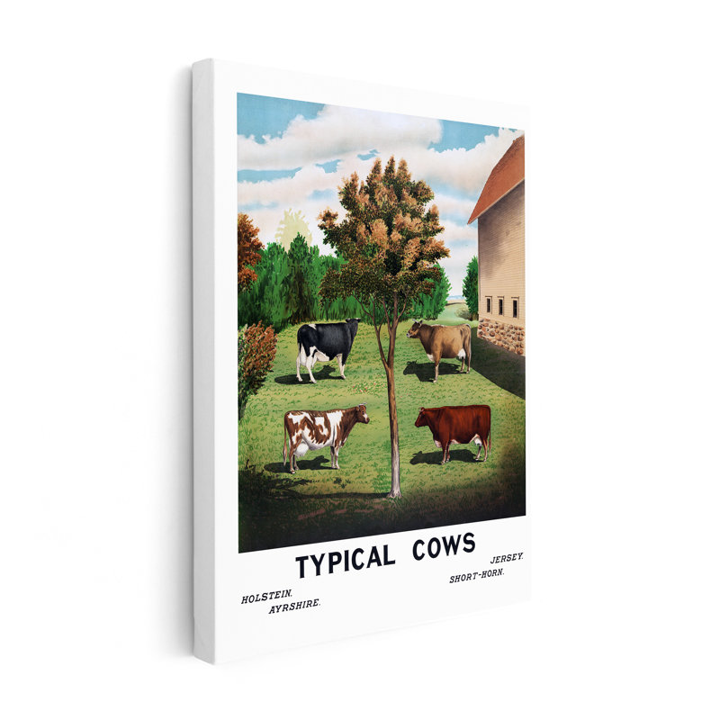 Vaches typiques, Sans cadre, Canevas, H 11 po x l 14 po