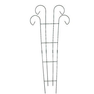 Steel Fan Trellis