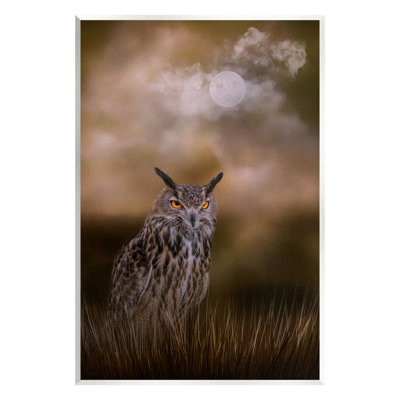 Nighttime Owl Moonlit Cloudy Sky Floater Canvas Wall Art By Kelley Parker