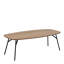 Scheinman Coffee Table