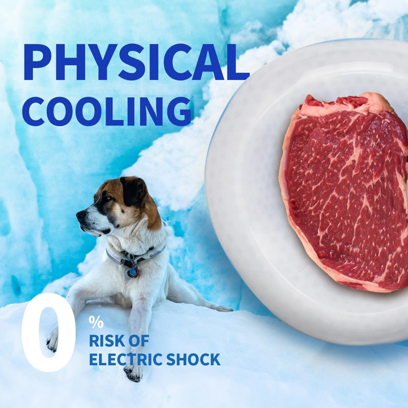 Pet Dog Cooler Bowl Frosty Bowl Keeps Water Cool And Fresh 350ML/500ML/1500ML
