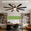 132cm Ceiling Fan with LED Lights-1030363892