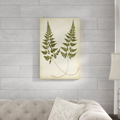 «Fern Portfolio I», peinture sur toile