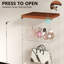 Display Cabinet-1665128141