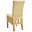 49cm H Solid Wood Stacking Side Chair-125426404