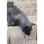 Figurine de chat en bronze signée