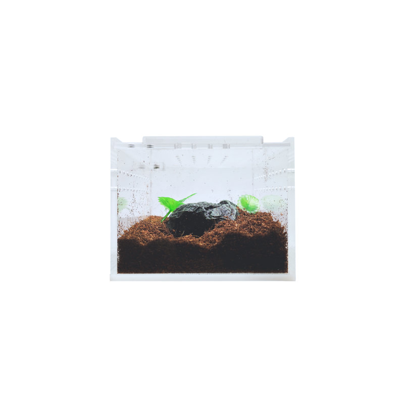 Acrylic Reptile Terrarium, 1 Gallon - 2.8"H x 3.4"W x 4.3"D
