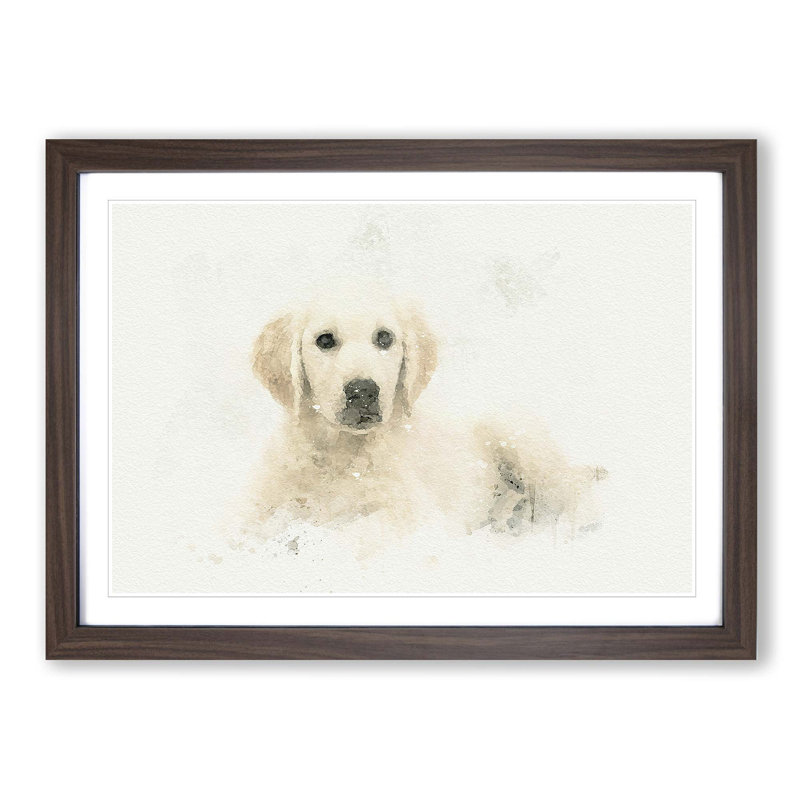 A Golden Retriever Puppy in Abstract - Picture Frame Graphic Art Print on MDF, 27cm H x 36cm W x 2cm D, Walnut Framed