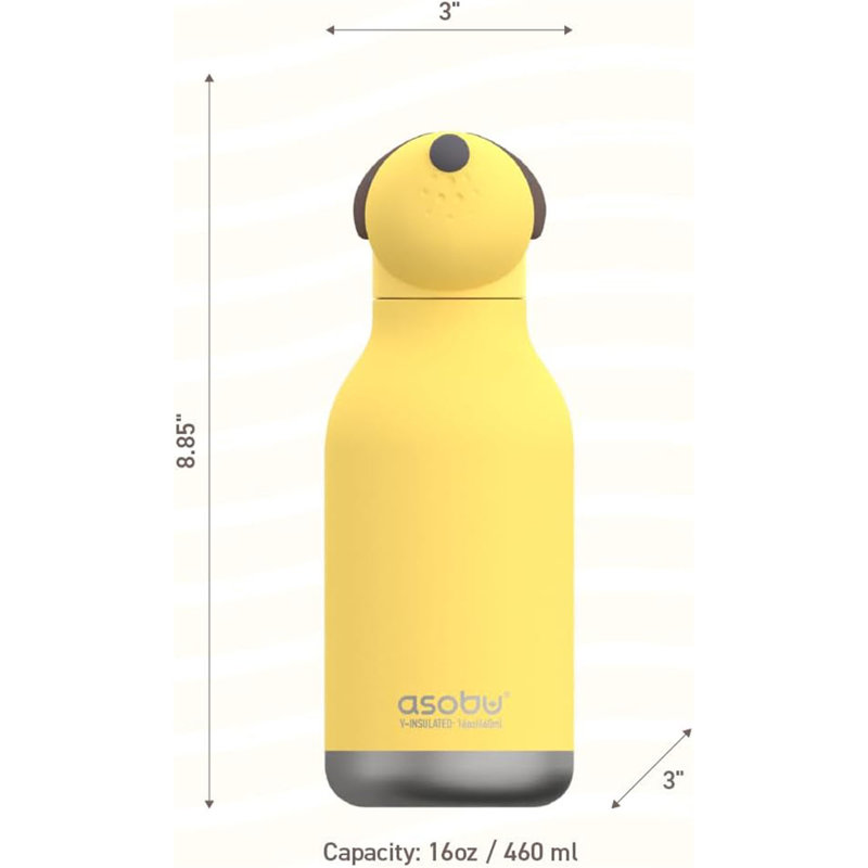 Asobu 475ml Double Wall Insulated Stainless Steel Water Bottle