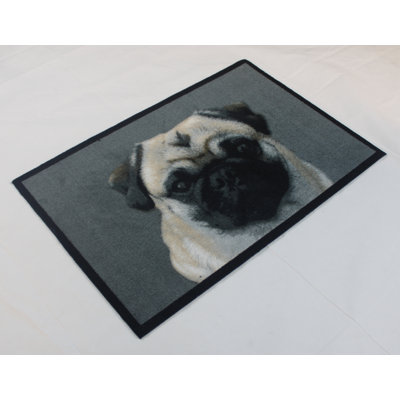 Digirolamo Doormat