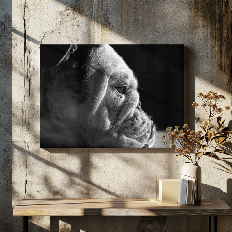 Wrapped Canvas Print