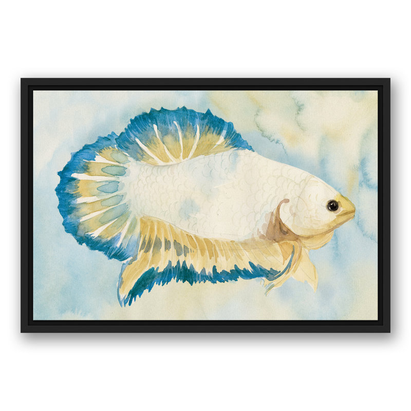 " White And Blue Fish ", 17.75" H x 25.75" W x 1.75" D, Black Floater Frame