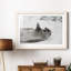 Laughing Seal - Single Picture Frame Print-1242266301-1242266242
