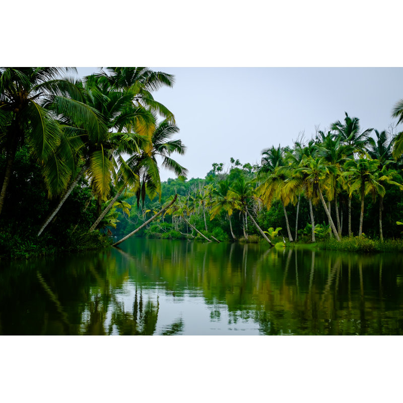 The Backwaters-Kerala by Vedwits - Wrapped Canvas Print, 61cm H x 91cm W